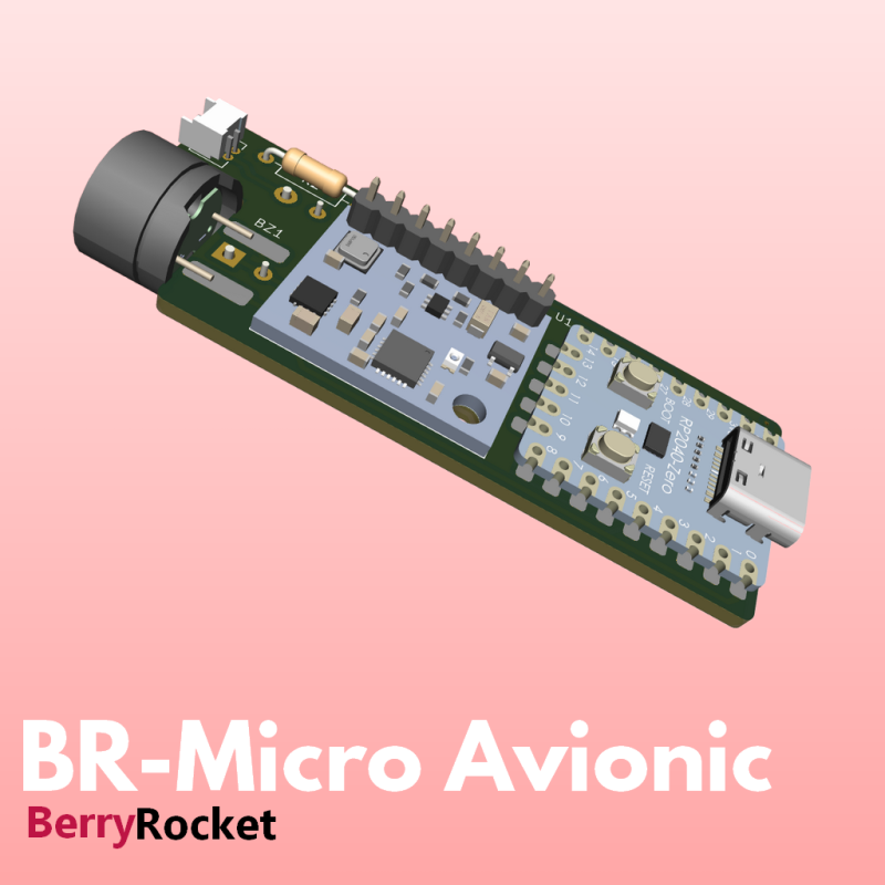 BR Micro Avionic